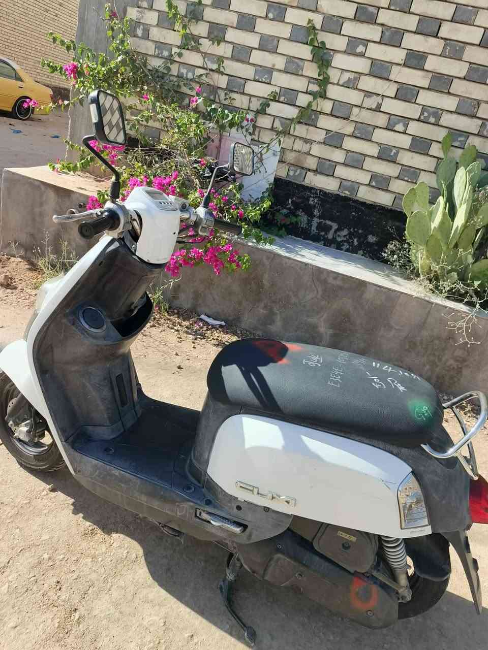 للبيع ماكس بوليس نوزل صارلها شهرين من منزلينها من الحاويه الله شاهد دراجه ناشفه وتدك معدل بالعباس برغي مامحطوط بيها 800 وبيها مجال


**إذا كنت صاحب هذا الإعلان وتريد حذفه لأي سبب، رجاءا أرسل رسالة إلى الدعم الفني**