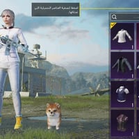 حساب ببجي • للبيع • المجر الكبير