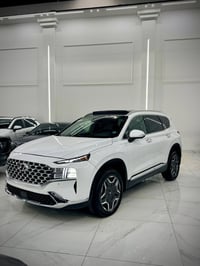 سنتافي • ٢٠٢٣ • وارد امريكي