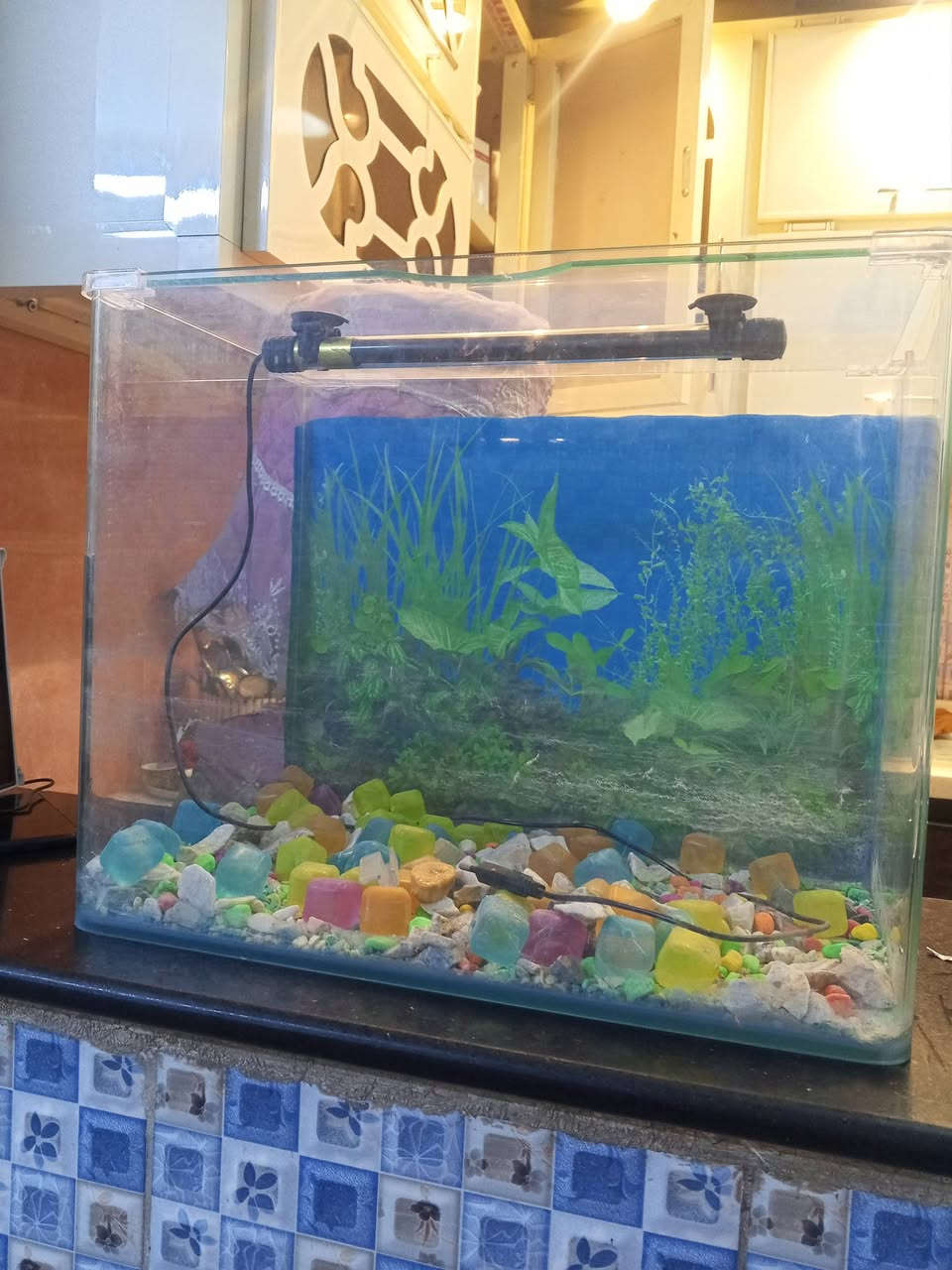 حوض سمك كامل من كلشي سعره 25 الف مكاني بل الحبيبيه رقم الموبايل ***********
