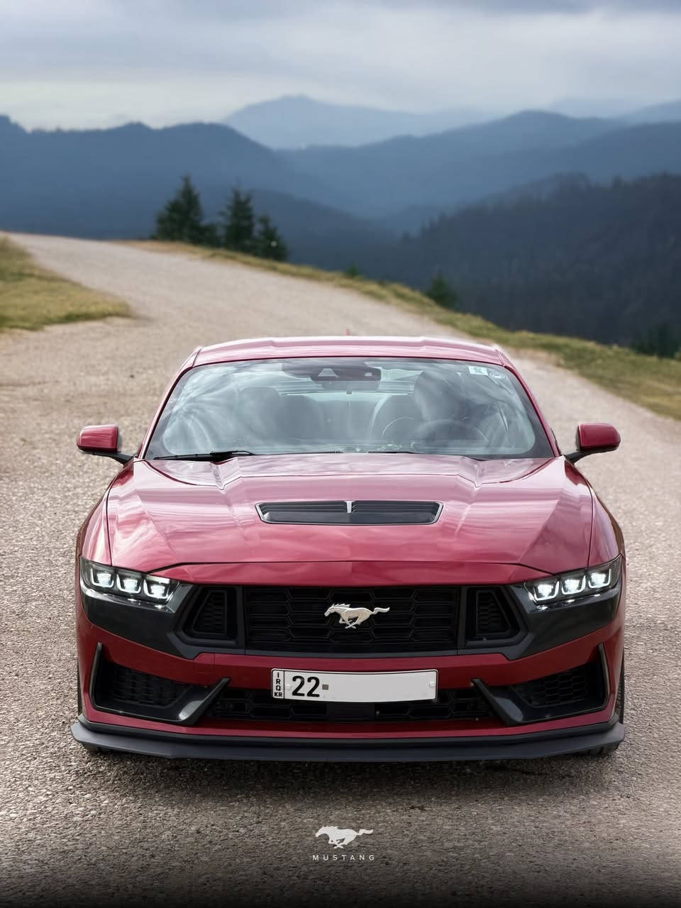 كروب 🇮🇶 مختص لبيع السيارات المميزه 🇮🇶
غير متواجد على فيسبوك 
فقط وتساب -***********

للبيع$ الشكل الجديد 
Ford_Mustang__Eco2025🐎
 فورد موستنك ايكو 🐎

لون:- احمر🍒

رقم اربيل الجديد هزه وفحص ايضاً جديد

عداد المسافه:-38.000
محرك+كير كفاله عامه 

حادثة:-1FA6P8TH4R5127112
صور الحادثة بالمنشور ورقم شاصي يمك 
٣قطع إماميه صبغ 

مواصفات فول 
كير اوتماتيك 

السياره بعداخت زيرو ريحت الشركه بيه بالعافيه ع ياخذه

لل الاتصال:-
 ***********

سعرها:-217$قفل 🔒 مستحيل اكو هيج سعر ابد 🤍
