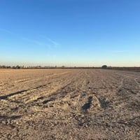 ٢٥ دونم • العيساوية • طابو زراعي