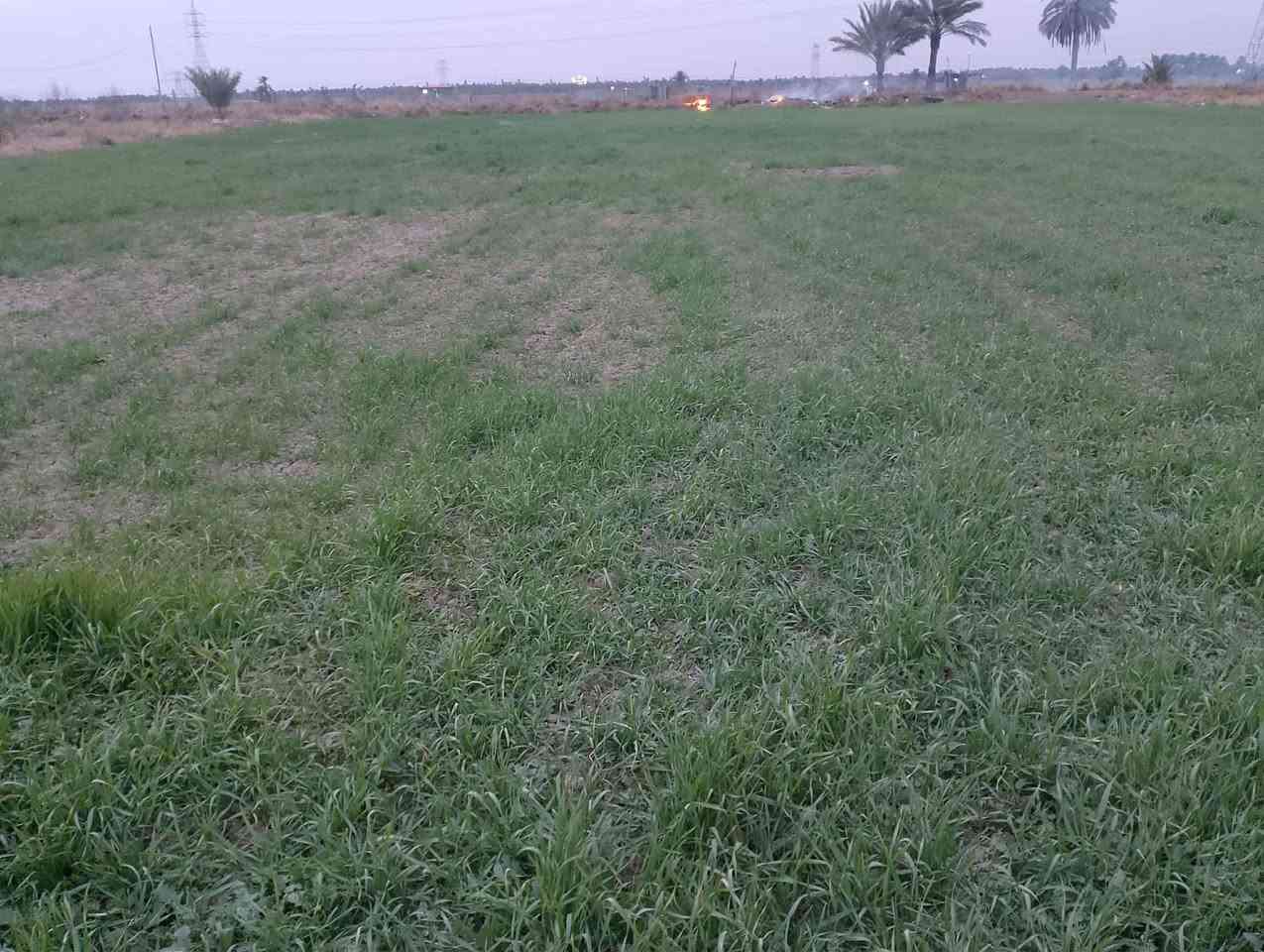 كاع للبيع السعر دونم 125 مليون بيه جميع خدمات سند 25 مكان حله منطقه ابو عرايس


**إذا كنت صاحب هذا الإعلان وتريد حذفه لأي سبب، رجاءا أرسل رسالة إلى الدعم الفني**