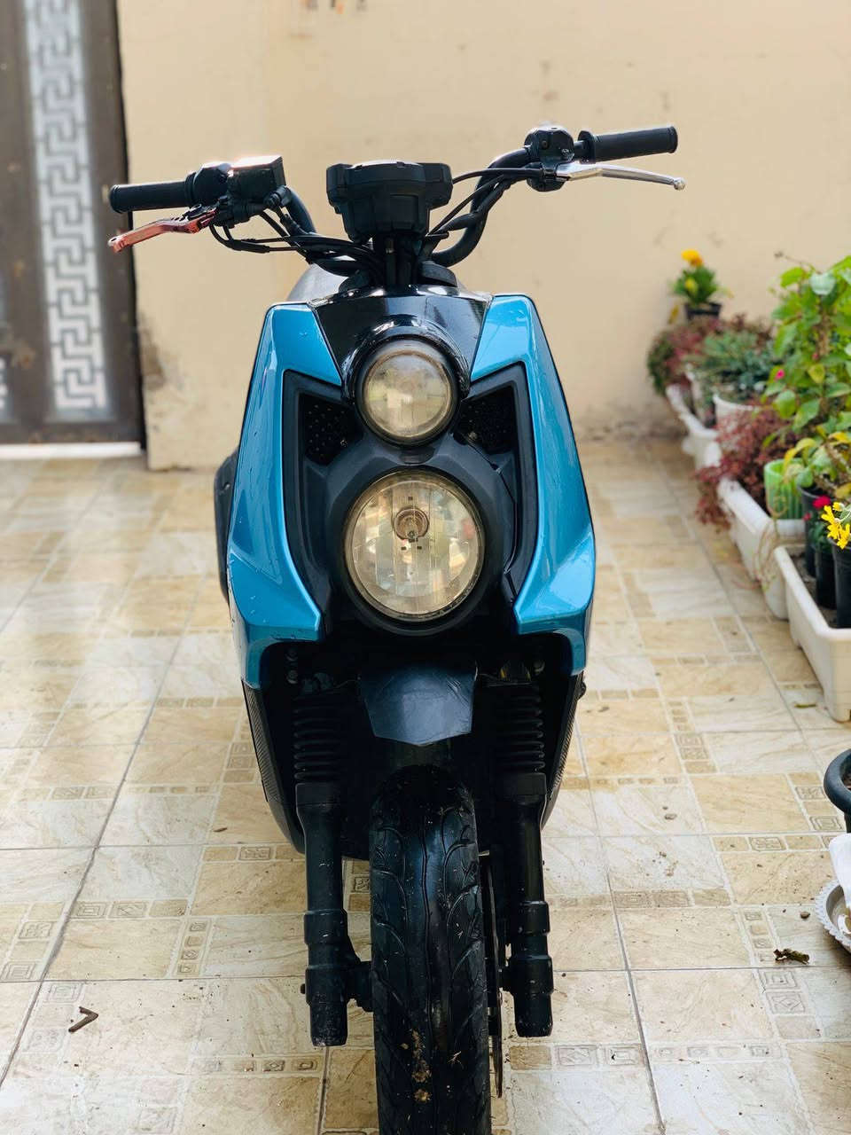 سكنس جبلي قبل 4 أيام طالعه من رمبه مكفولة السعر/1100 وبيها مجال لشراي 
حله مركز المدينة 
***********
