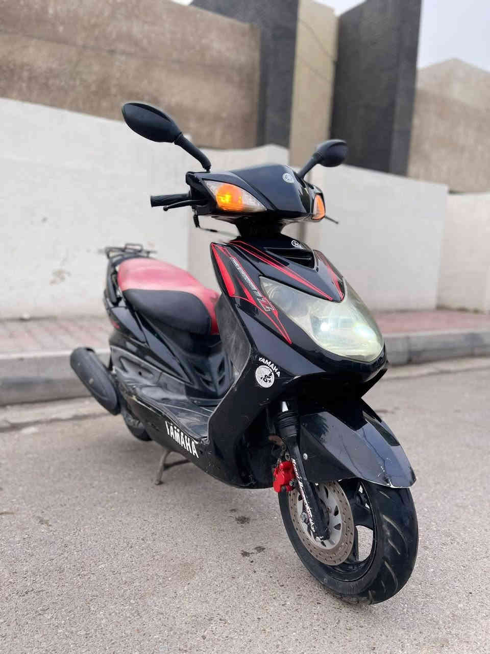 سكنسس فحل مكفوله مال رنبه السعر ٧٠٠مكاني مكاني بغداد الكرخ  ***********
