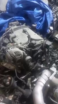 07817731303//07828782010