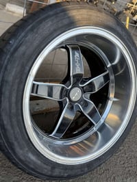 جنوط ويلد • بلا تصليح • بابل الهاشميه