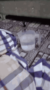 ألسلام عليكم زوج بلابل اليفات فول طيره وفحل مزاويج للبيع المكان الشعب البانزين خانه مقابل سوك 4 تالاف الشراي ***********
