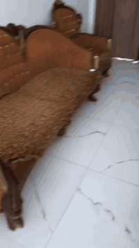 تخم المصري الأصلي السعر  ب300  باب خشم نضيف الطول متر و98 سم والعرض 92...