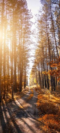 تقسيم حسين حاجم • ٢٠٠م • طابو زراعي