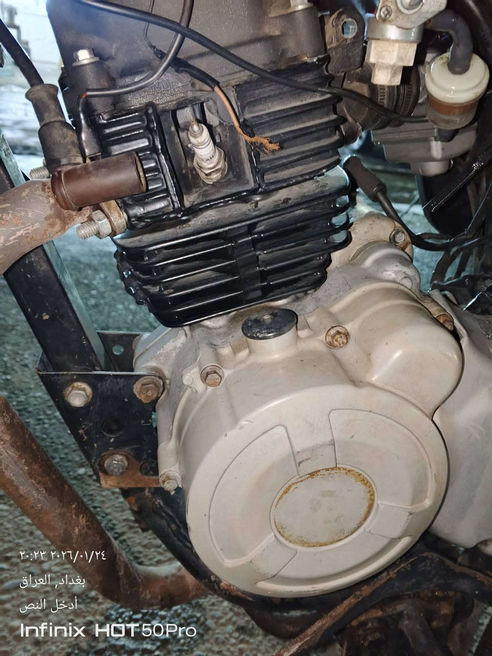 سلام عليكم دراجه بوكسر موديل 18
محدث 23نضيفه لا تنقيص ولا تبخيرخير من الله 
مجفتا بيها ضمان 6شهر سعر 1500بيها مجال كلش
وراق صولي بسمي ***********ما متواجد علا خاص
مكاني بغداد بو جير ***********بس وساب
