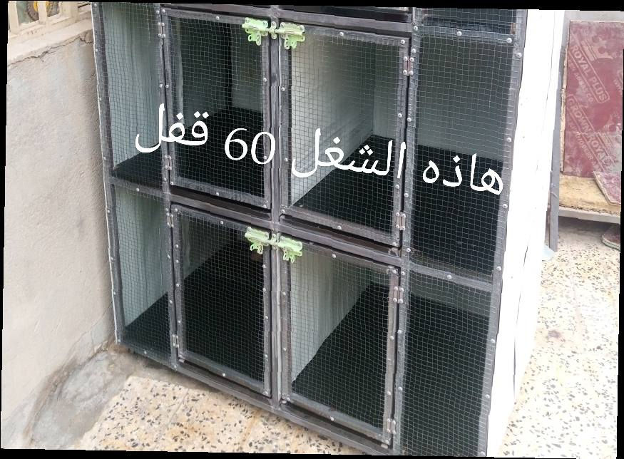 كلمن وسعره شغل درجه اوله بصره قبله


**إذا كنت صاحب هذا الإعلان وتريد حذفه لأي سبب، رجاءا أرسل رسالة إلى الدعم الفني**