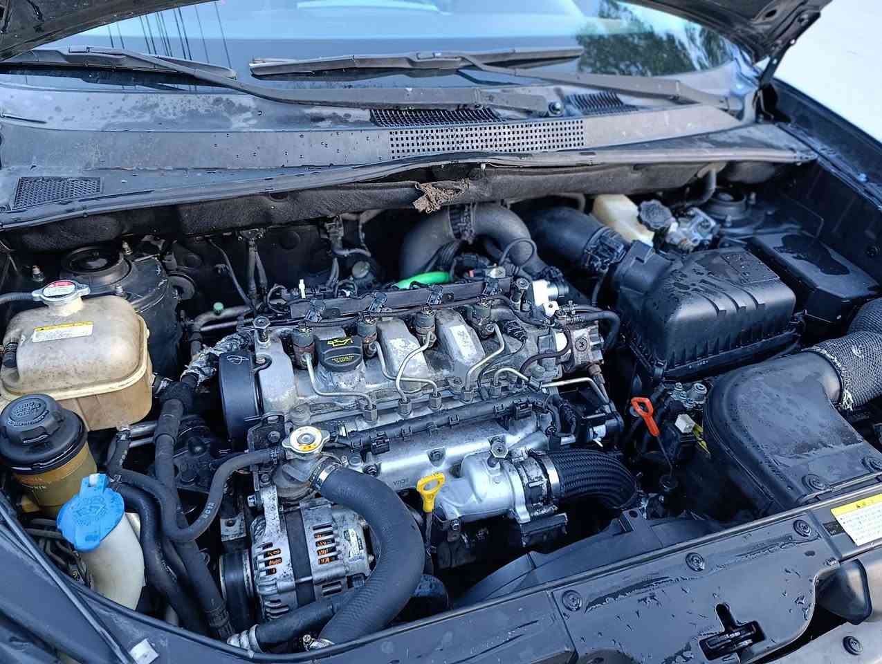 🔴 هۆندا تۆکسۆن بۆ فرۆشتن -  لەڕانیە
هۆندا تۆکسۆن 2007
گازە 📢⛔
بڕاوە بڕاوە
چوار جام کارەبا
کووشنەکانی داوە کامل تەخت ئەکرێن
کوشن هیتەو جلد
ئاوێنە کارەبا
دەبڵ گێر  بەشەرت
چوار تایەی تازە
چاڵو شوخت و قوپاوی نیە
گشت گیانی بەشەرت
کامل جاهیز
لێدراوی نییە سەیارەکە
سەیارەکە له ڕانیە 
***********

ڤایبەر واتسئاپ.
