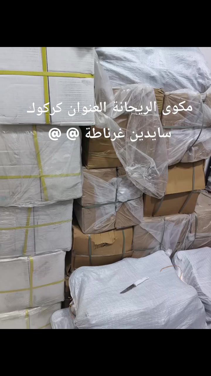مكوى الريحانة العنوان كركوك سايدين غرناطة


**إذا كنت صاحب هذا الإعلان وتريد حذفه لأي سبب، رجاءا أرسل رسالة إلى الدعم الفني**
