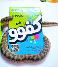 خط كفو • ١٠٠٠ دقيقة • تصفح مجاني