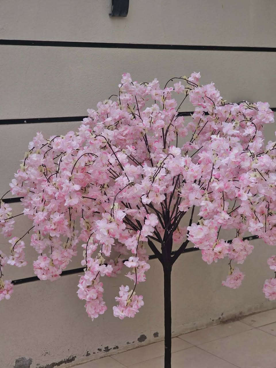 شجره الورد الصناعيه كوالتي عالي قطعه مال امزون كلش كثييفه بيه قاعده تثبت بالارض


**إذا كنت صاحب هذا الإعلان وتريد حذفه لأي سبب، رجاءا أرسل رسالة إلى الدعم الفني**