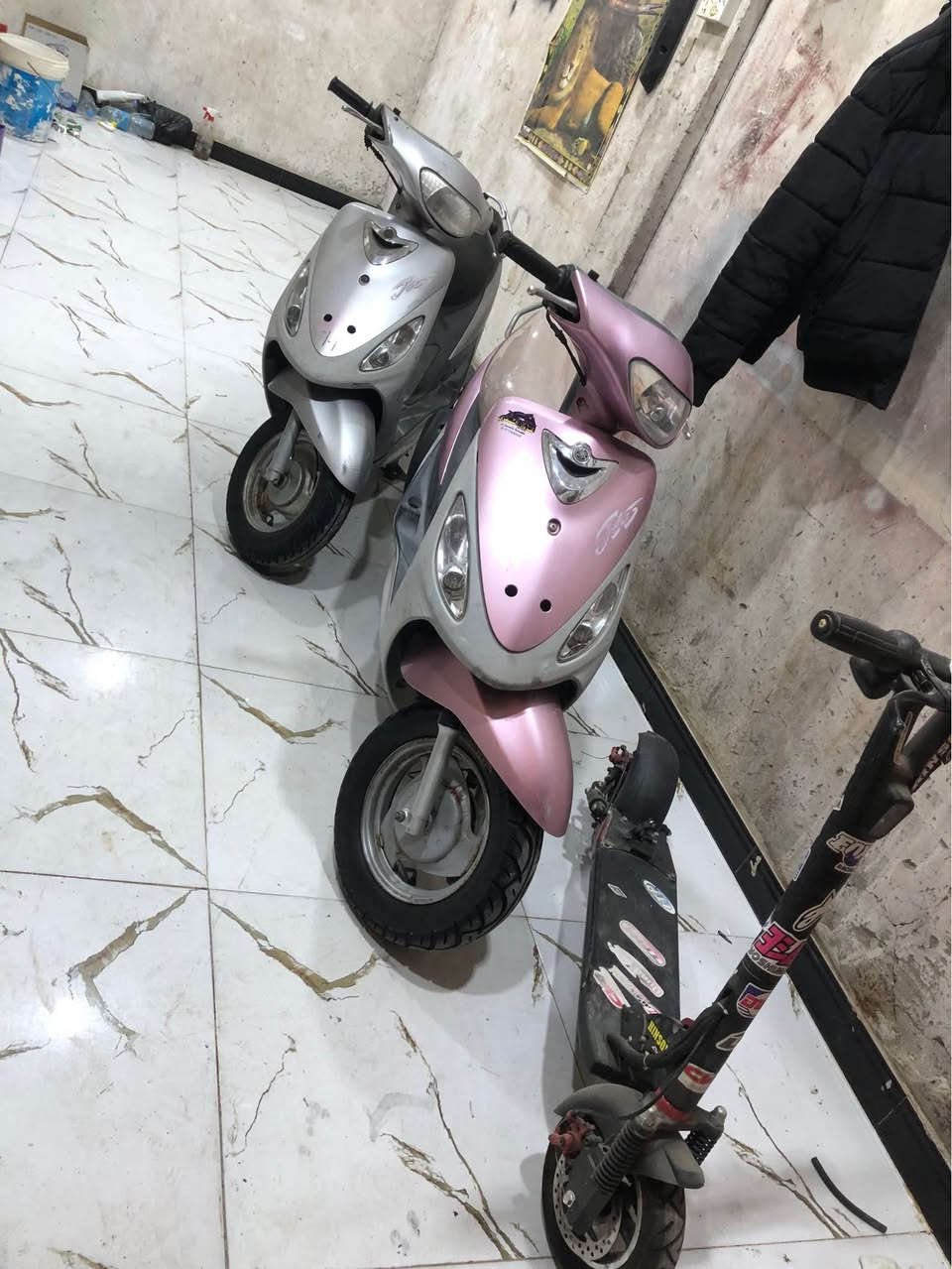 متوفر ماكس قجمه عدله 
عنواني بصره تنومه شارع الاطفه
تواصل وتساب *********** البصرة, العراق
