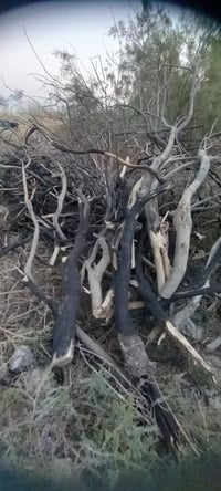 حطب للبيع يابس شرط درب ب5 خمسه وهذا رقمي 07821582588