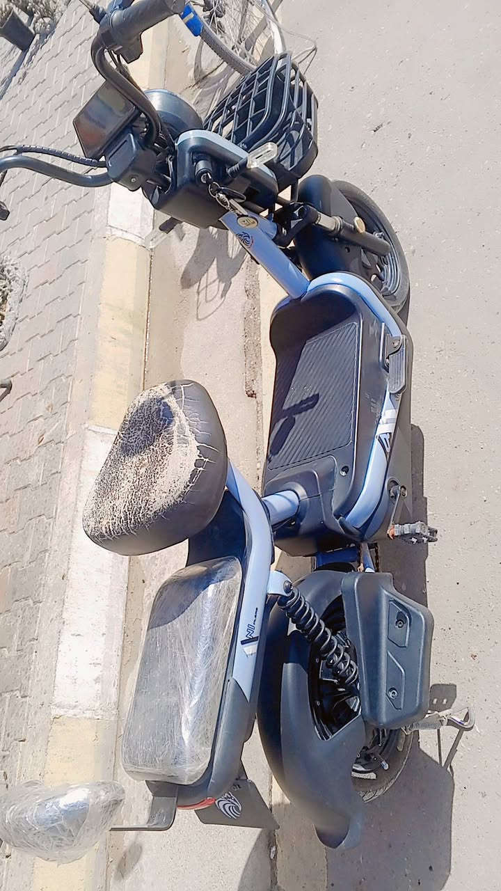 السلام عليكم ورحمة الله وبركاته متاح دراجه شحن كامله السعر خاص


**إذا كنت صاحب هذا الإعلان وتريد حذفه لأي سبب، رجاءا أرسل رسالة إلى الدعم الفني**