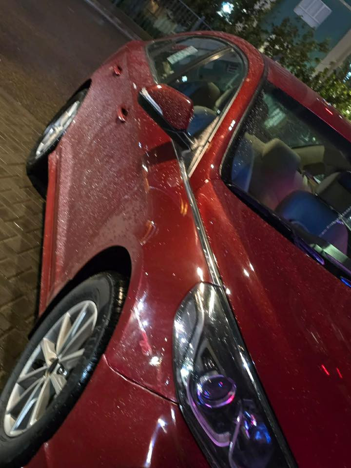 2019 خليجي
الصبغ جاملغ امامي ايمن بدون فتح شرط السعر 162
للتواصل  ‭٠٧٨٠ ٩٧٣ ٠٢٧٢‬
