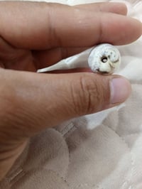 عطفه قديمه • محابس • صدف