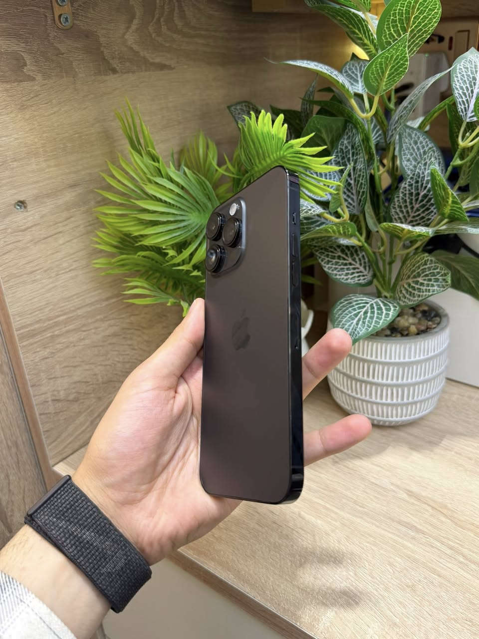 ❤️ايفون 14 برو ماكس اسود❤️
🔥🔥السعر: 785 الف دينار فقط🔥🔥

ذاكرة 256
بطارية 88‎%‎
نضافة عالية
شاشة 3 خيارات
فيس ايدي شغال
اي خلل مابي جهاز
مامبدل بي قطعه
فقط وتربروف شويه يعبر

الاتصال:***********
العنوان: النجف الاشرف
