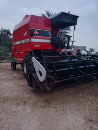 حاصده ٢٠٠٣ • مكفوله • جاهزه للحصاد