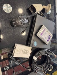 بالصور • شغال • فحم