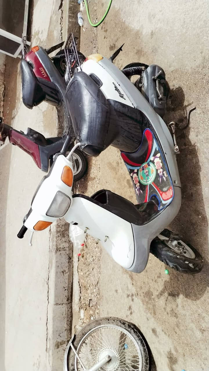 بوتين للبيع لنضافه كدام عينط لمكينه برغي ما مفتوح بيها لسعر خاص ما متواجد فيس
رقم ***********.........***********
