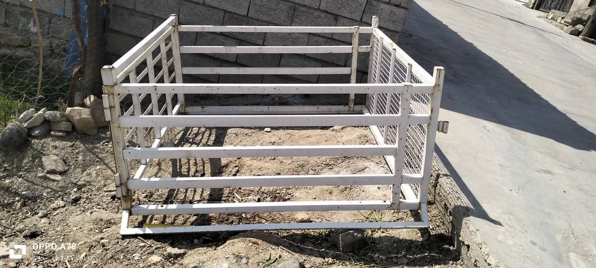 چەمچەی مەرزیەی چوار دەرگا بۆ فرۆشتن07516l5185488قەڵادزێ ناحیەی ئیسێوە بشدار, السليمانية


**إذا كنت صاحب هذا الإعلان وتريد حذفه لأي سبب، رجاءا أرسل رسالة إلى الدعم الفني**