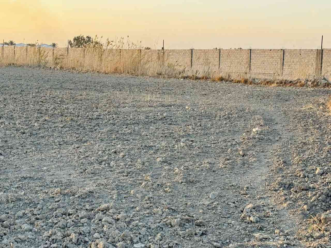 أرض زراعية مساحة( 4 دونم )  ، عقد زراعي ١١٧ ( عبد الكريم قاسم ) .
، تقع في منطقة ام نعجة ، طريقها  عمود ٢٥٦ طريق نجف - كربلاء. او مفرق الكفل قرب سيد يحيى 
يتوفر فيها كافة الخدمات ( ماء سقي - ماء اسالة _ كهرباء )

للاستفسار خـــــــــــاص او اتصال  ***********
