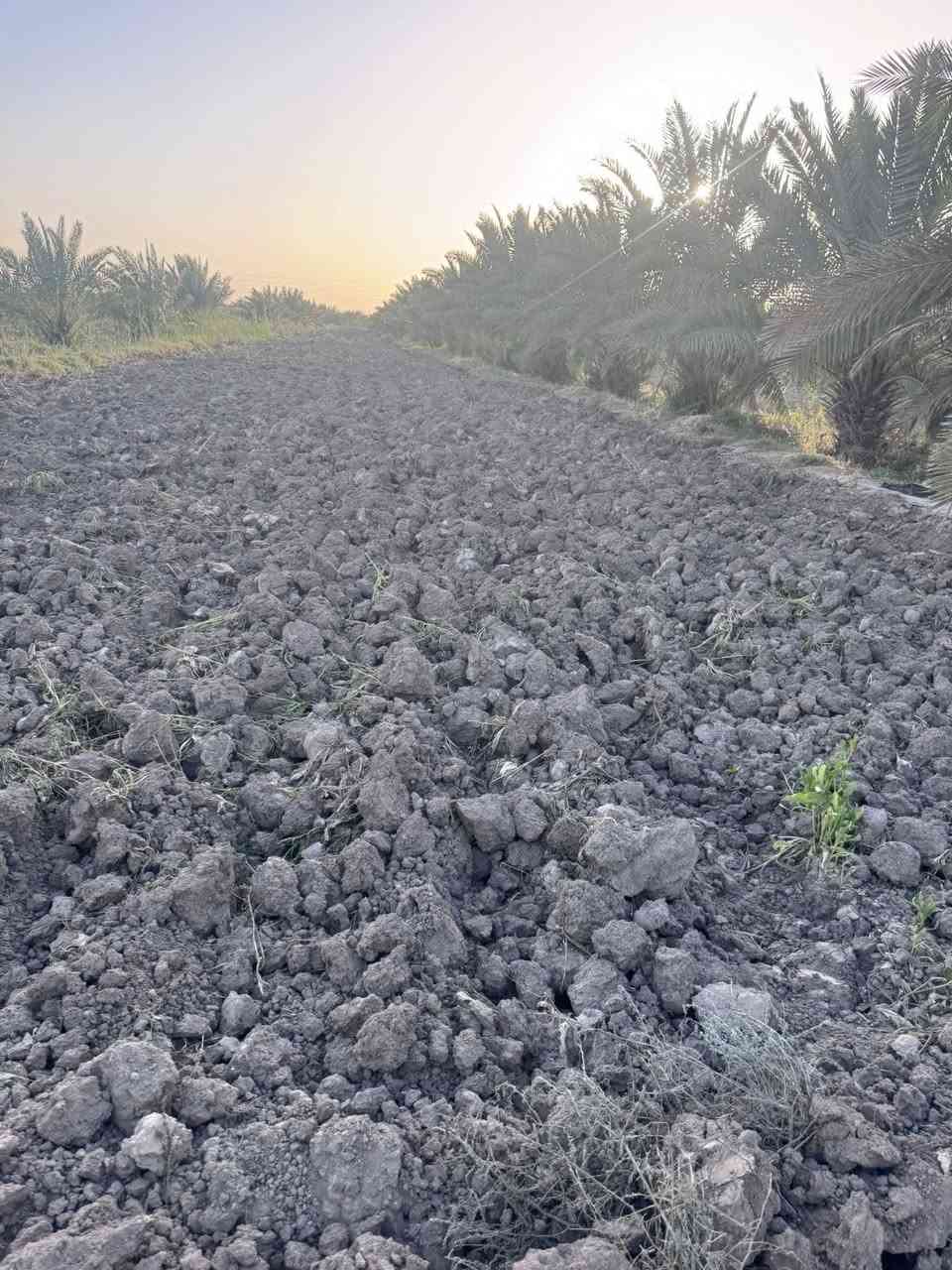 يالله
اللهم صل على محمد وال محمد
بستان المساحة ثلث دوانم ونص ناحيه السديناويه ورا جسر الصبحة السعر 75 وقابل لتفاوض رقم الهاتف 0781873718


**إذا كنت صاحب هذا الإعلان وتريد حذفه لأي سبب، رجاءا أرسل رسالة إلى الدعم الفني**