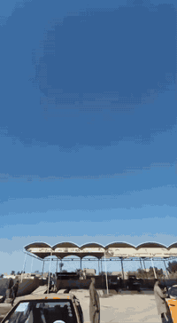 بارص 18 بيها بنيد وارجع نفسه وصبغ بلهلال مكينه كير حداديه تبريد كفاله منظومت غاز جديده سياره كبل للشارع مصفره من كلشي السعر 58 وبيها مجال رقم بغداد سنويه ل 29 عنواني ديوانيه *********** اتصل وتدلل
