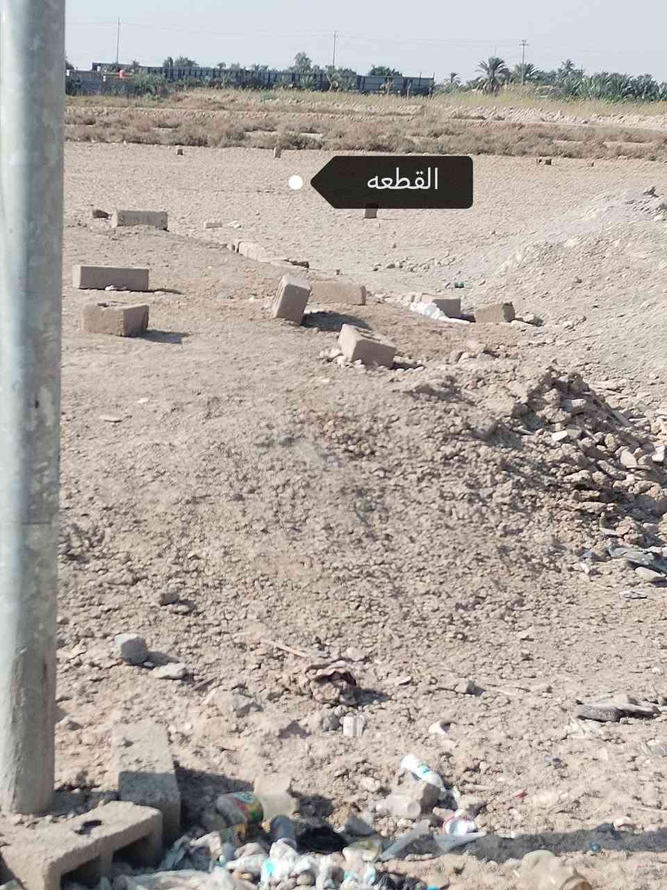 قطعه للبيع شارع نازل تبليط مساحه 200متر زراعي قريبه عالتبليط النازل حي الجوادين شارع ام البنين متوفر كافه الخدمات ***********
