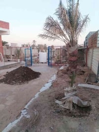 بستان مع بيت • ٢٥٠٠م • البصرة ابي الخصيب