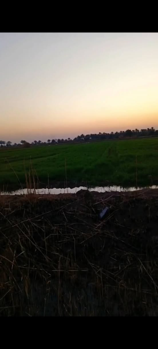 بلاشششش بلاششش
ارض 13 دونم سند 25 
بابل ناحية الشوملي قرية الجوادية 
باسم شخص واحد مداور مباشر 
((سعر الدونم 13 مليون )) وبي مجال 
الاساله تبعد عنها 200 متر الى 150 م
وعليها 4 طرق رسميه 
وتبعد عن التبليط كيلو ونص 
ماء السقي من نهر الشوملي 
للتواصل واتساب او اتصال 
***********
