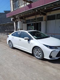 حمل • موديل ٢٥ • كربلاء