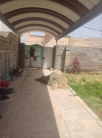 الكوفه براكيه • ٢٠٠م • طابو زراعي