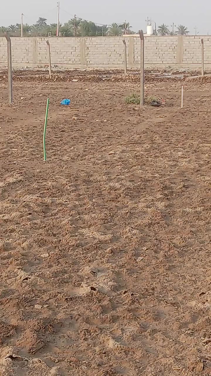 نص دونم طابو اسهم تحويل مباشر بسم المشتري على طريق السفينه خلف ثانويت الواثق مباشرتن طابو اسهم ماء كهرباء وبوري ماي باب البستان ***********
