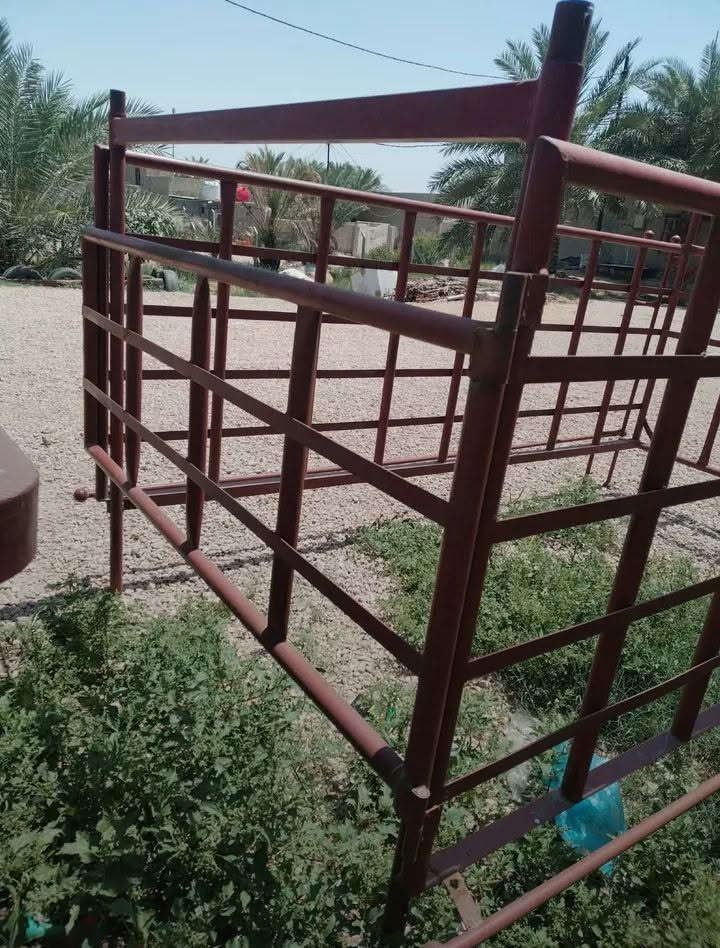 سلام عليكم محجر كيا فحل للبيع تسكام جديد مابي كل خياس السعر الاتصال على الرقم *********** المكان نجف
