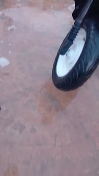 ضبانه 9زروف السعر 250 المو شراي لا يتعبني الرقم 07750080843