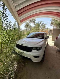جيب لاريدو • مطلوب • بافلون