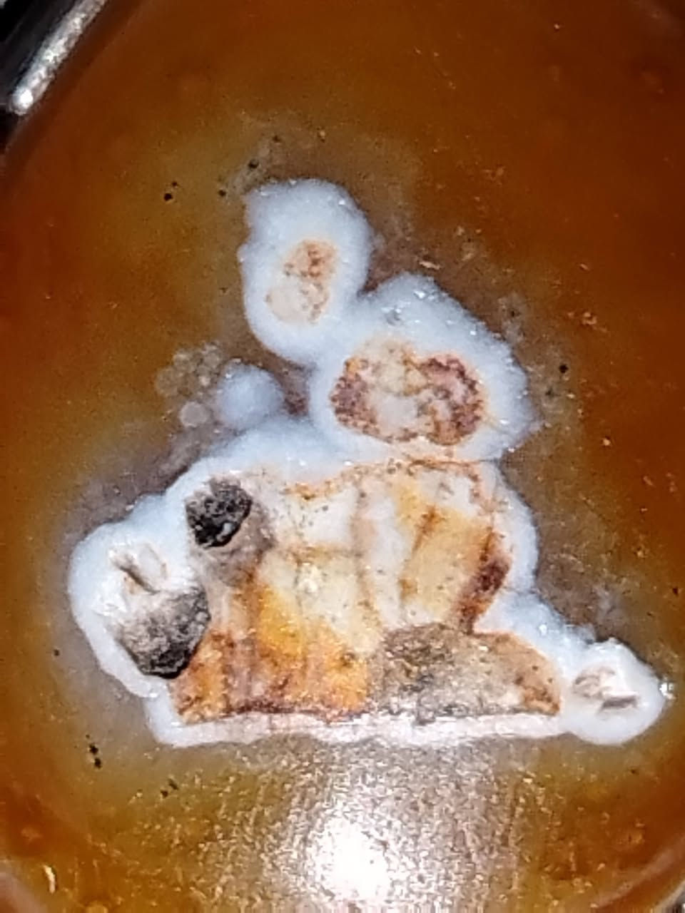 سلام عليكم اخوتي العزاء داودي عطف مصور واظح هل الخبره يعرفون شنو هاذه شغله جوكر حب اوحنان الكتاب أمبين من عنوانه سعر على خاص


**إذا كنت صاحب هذا الإعلان وتريد حذفه لأي سبب، رجاءا أرسل رسالة إلى الدعم الفني**