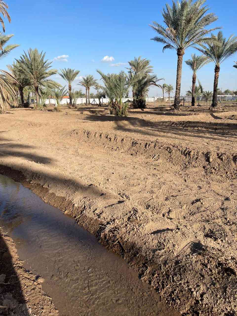 بسم الله الرحمن الرحيم 
توجد ارض مساحتها دونم جنس الارض طابو زراعي سند ٢٥خدمات ماء كهرباء تبليط يبعد عنه ٥٠م يصلح سكن عنوان مدائن سلمان باك منطقه باوي للاستفسار الاتصال ع الرقم التالي ***********واتساب )***********
