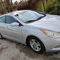 سوناتا • ٢٠١٣ • وارد امريكي