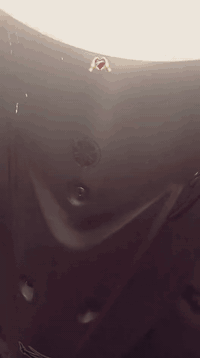 عصفورة 60 • دراجة نضيفة • البلديات