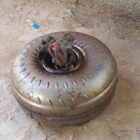 البصرة • أبو لخصيب