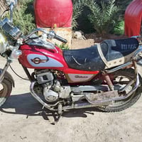 جونده • ٤٥٠ • مكفول سرقة