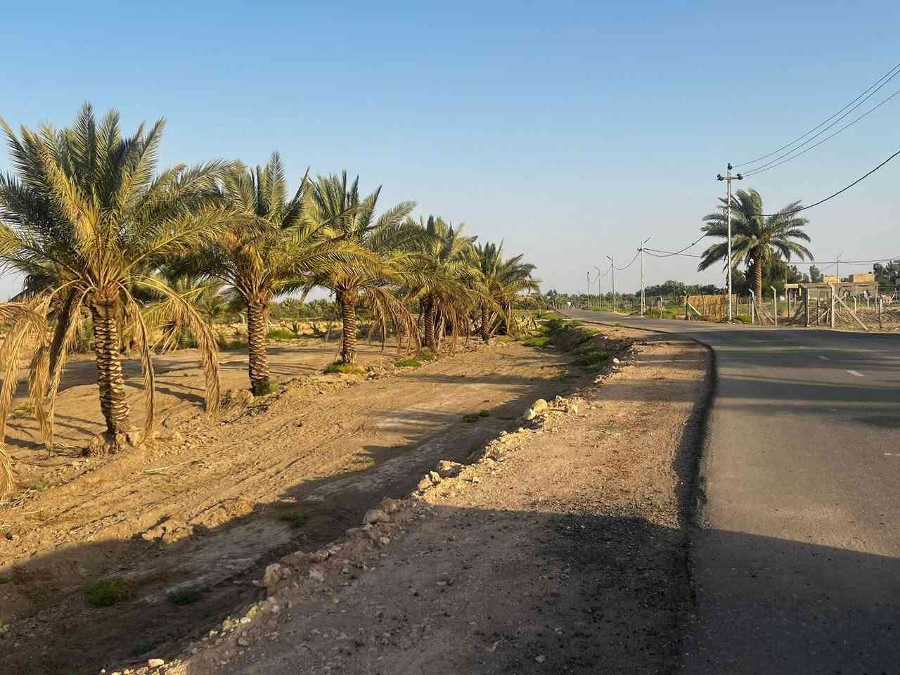 قطع للبيع مساحة القطعه 200 متر واجهة 10 نزال 20 

طابو زراعي سند 25 نقل ملكية مباشر 

كامل الخدمات ماء وكهرباء وتبليط 

الموقع مجاور جامعة بابل تبعد عن شارع حله نجف 700 متر 

للاستفسار ***********
