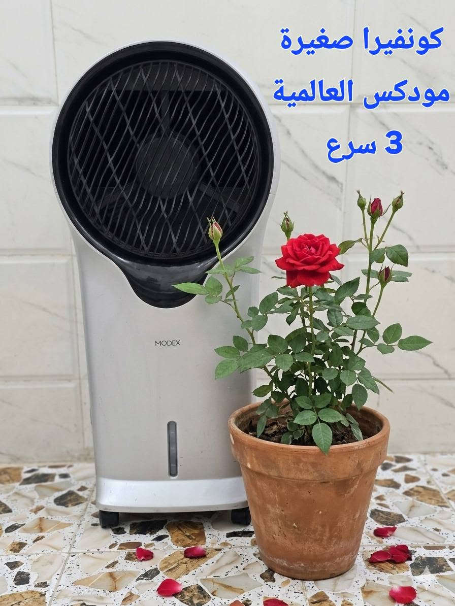 للبيع .. للبيع .. للبيع

 كنفيرات حجم صغير  عدد 3
براد ماء شركة دنكا 

للاستفسار و العنوان
كربلاء حي السلام قرب مدارس العتبة
***********
***********
(( اَلْحَمْدُ لِلَّهِ دَائِماً وَأَبَداً ))
